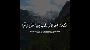 قرآن كريم بصوت القارئ اسلام صبحي 😍 تلاوة هادئة 😴 حالات واتس اب / Quran ststus | Quran Kareem