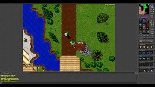 Tibia   Elysia Wars Compilation 8 0 8 1 2007 2008