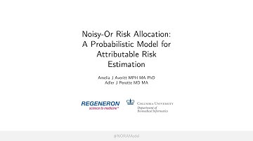 Noisy-Or Risk Allocation: A Probabilistic Model for Attributable Risk Estimation
