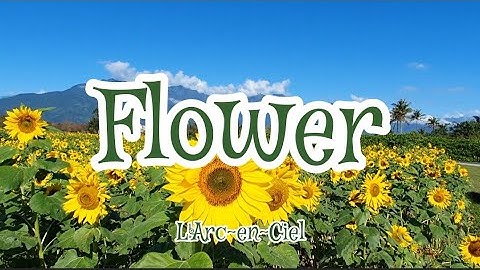 Larc en ciel flower lyrics