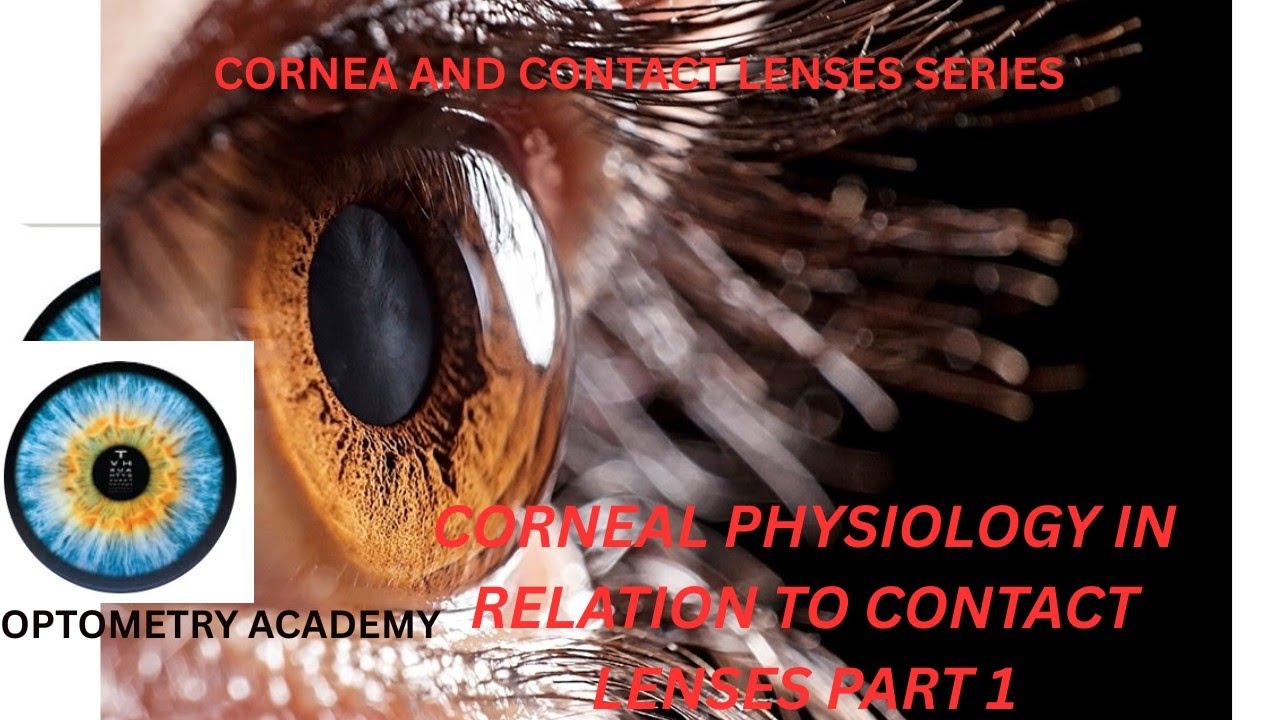 Corneal physiology in relation to contact lenses part 1: DK, DK/t, cornea and contact lenses series