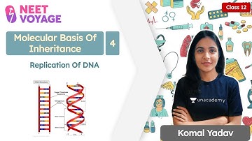 Replication Of DNA | Molecular Basis Of Inheritance L4 | Class 12 | NEET Voyage | Komal Yadav