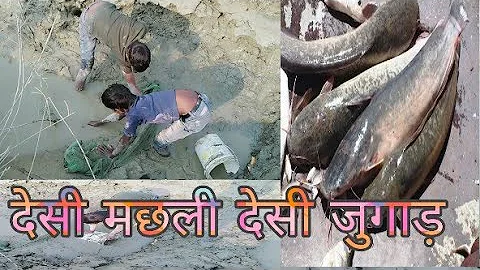 देशी मछली देसी जुगाड़||Desi machhli Desi jugar|| fish pakram pakri
