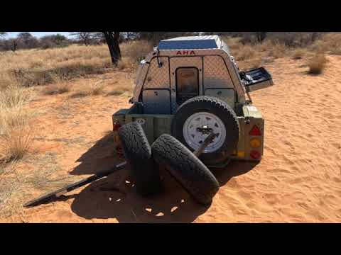 Simba Survival Kgalagadi 2024 