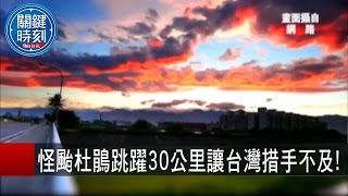 關鍵時刻 20150929 一刀未剪版