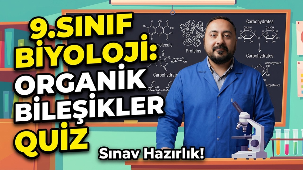 Тест по органическим соединениям по модели Маариф для 9 класса по биологии