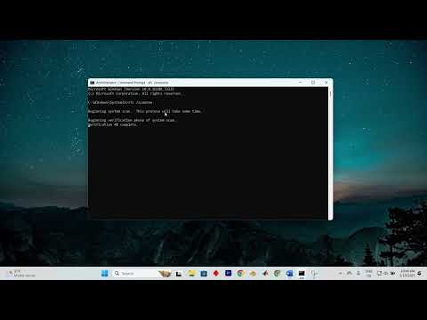 How To Fix Folder and File Names Are Not Showing in Windows 11 or 10 - Quick Help