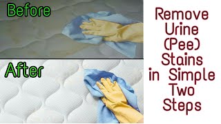 How to Remove Urine Stains from Mattress