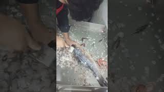 Deshi Rui Fish Cutting! Ring Size 🐟 #fish #fishing #shortvideo #viral #viralvideo #shorts #viral