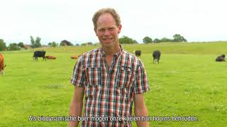 Hoorns- Jeroen Konijn