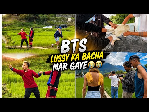 BTS album ke liye itna kam wakt pe kesa ho paiga 😇😇Lussy ka bacha mar gaya 😢😢