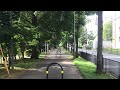 本日のメタセコイヤ通り。8/7