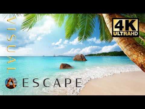Calming Island Beach w/ Breeze and Waves | 4K