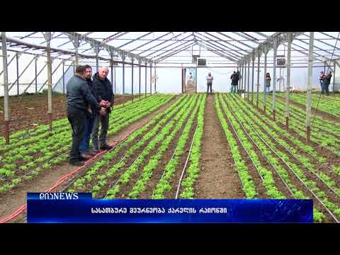 ახალი სასათბურე მეურნეობა ქარელის რაიონში 19.02.2018