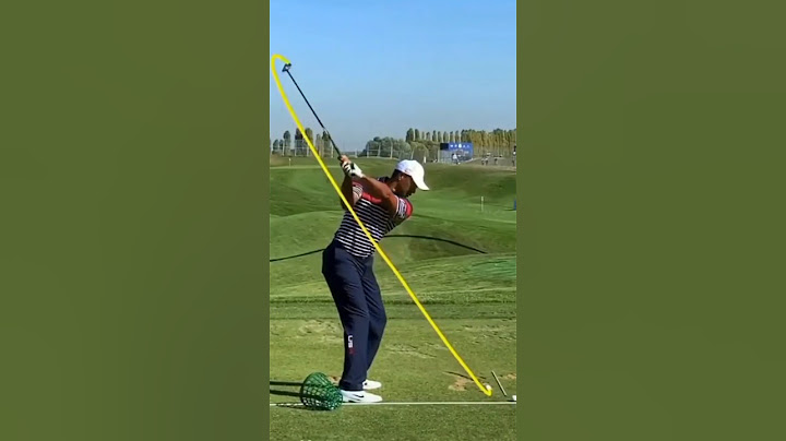 타이거우즈 스윙🏌️
