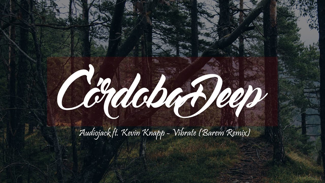 Audiojack ft. Kevin Knapp - Vibrate (Barem Remix)