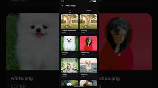 How to Reduce Photo Size on Android [MB to KB]