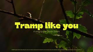 Tramp Like You