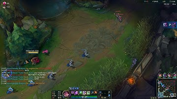 Neeko bug 2
