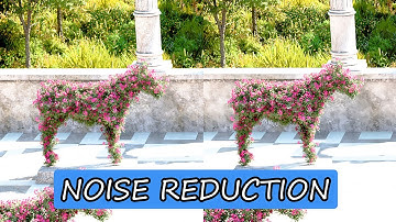 Test Noise Reduction With Neat Video - Blender Denoise