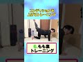 年明けに絶対にやるべきコンディションを上げるトレーニング7選!! #新年リセット #お正月太り解消#宅トレ #新年フィットネスチャレンジ#ワークアウト初心者 #ボディメイク