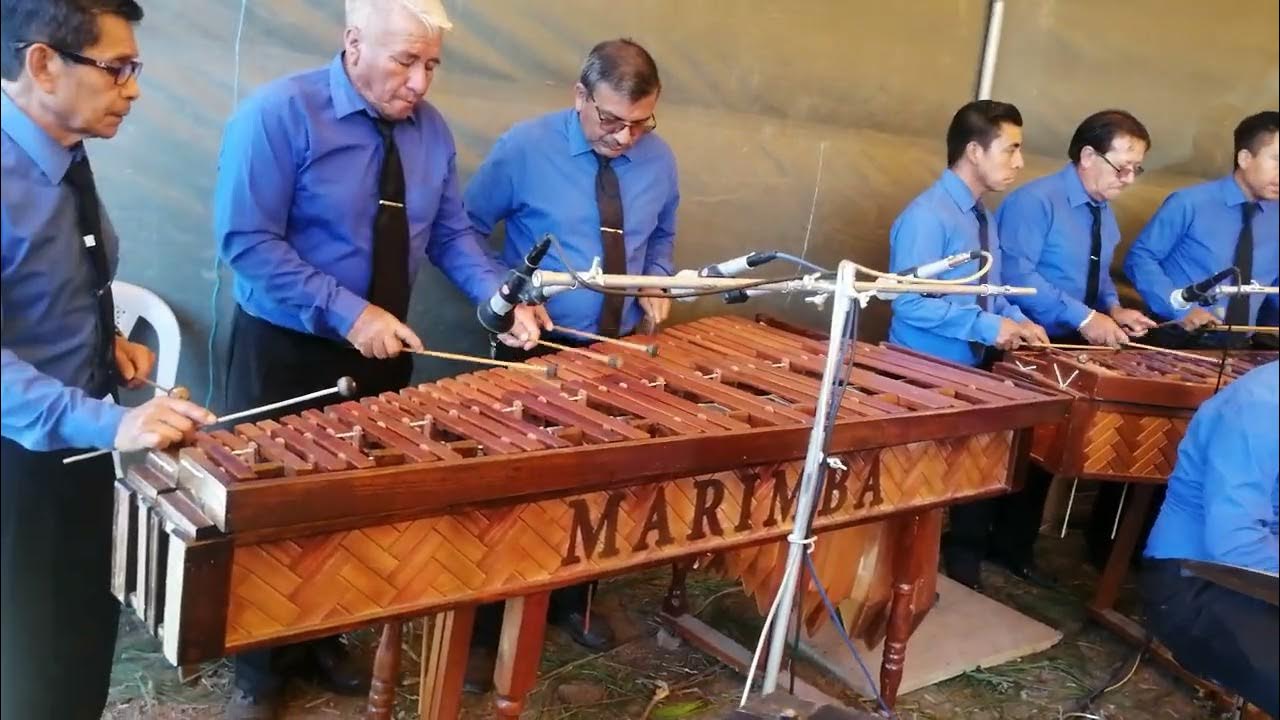 Volar Cantando, Marimba Cristiana Trinoz Nazarenos YouTube