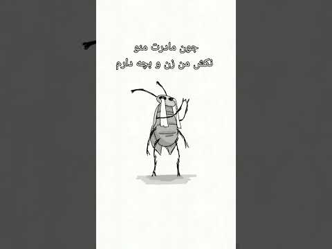 سلیمان بودنم سخته ها