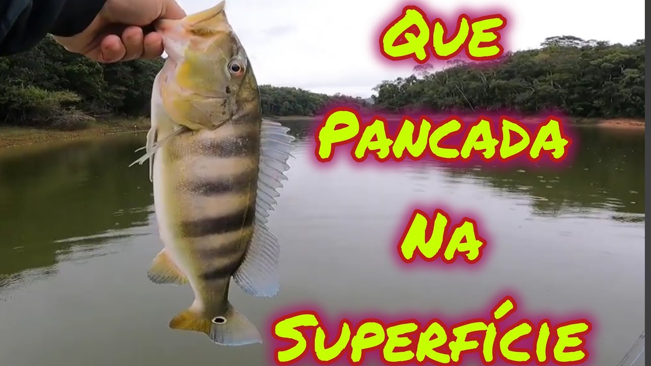 16/04/2025 - muita chuva... Mas premiado com dois peixes, com bônus de superfície!