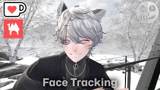 Hanka/斑霞 - Face Tracking Add-on