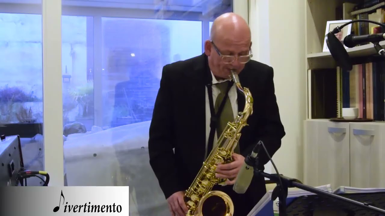 Wonderland By Night  Bert Kaempfert instrumental Cover