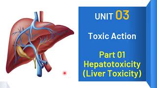 Toxicology | Unit 03 - Part 01 |  Hepatotoxicity