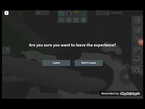 playing with Freinds (safaria20) - playing with Freinds (safaria20)