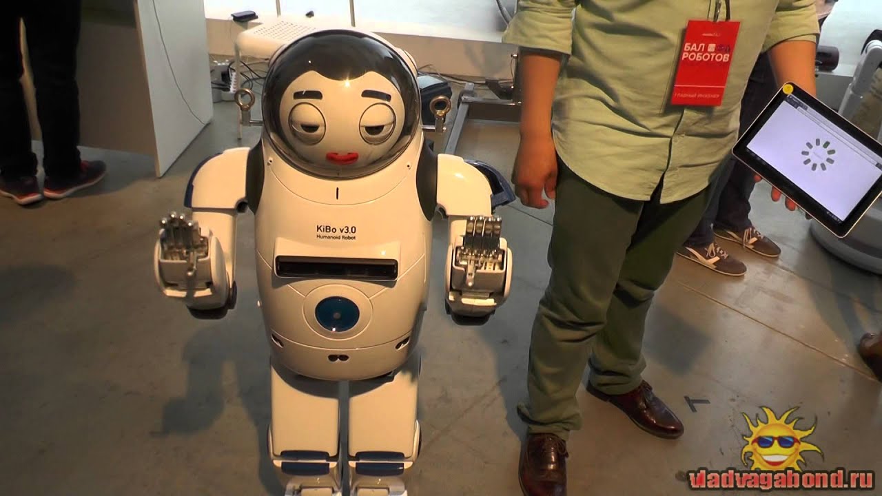 Kibo robot - реальные "терминаторы" такие милые!