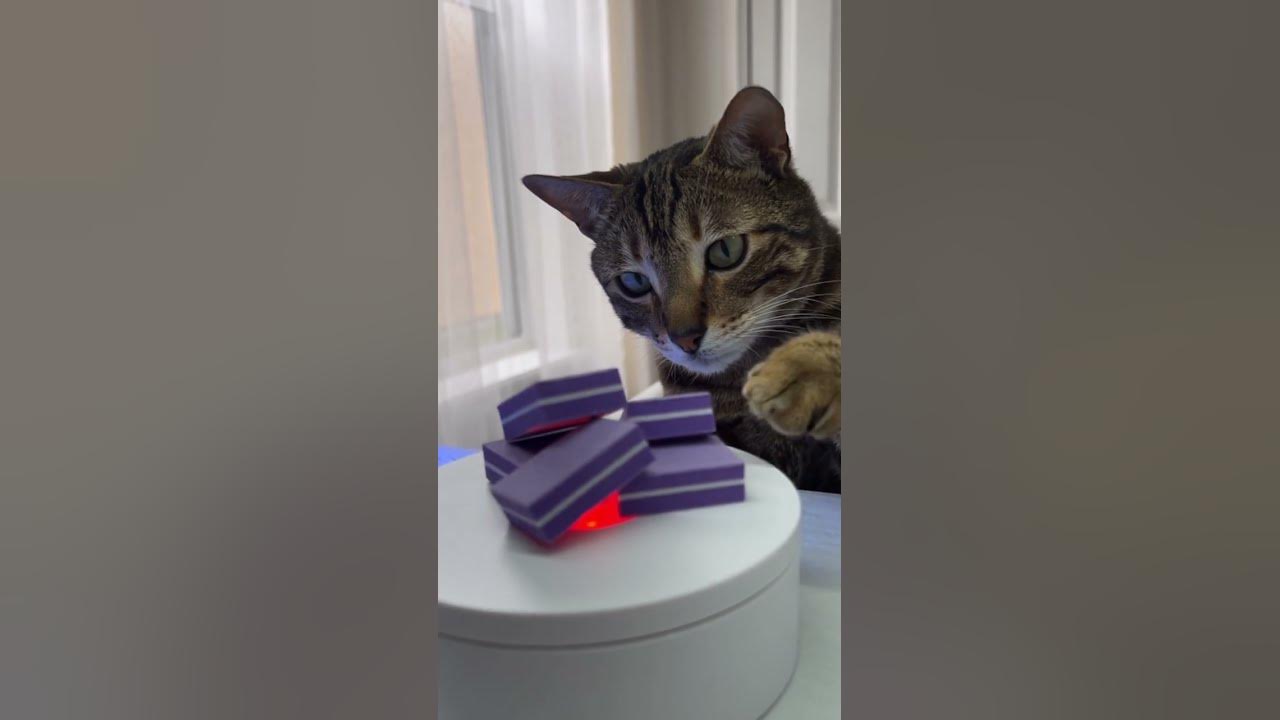 Бафик - YouTube