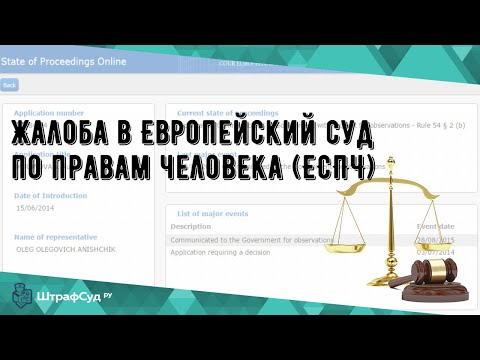 Жалоба в Европейский суд по правам человека (ЕСПЧ)