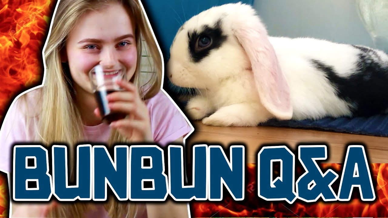 Skal jeg spise kaninen min? Bunbun Q&A