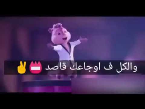 مهرجانات ناس بالحب مجتش معاها اي اصول