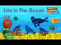 Hungry Caterpillar Short Stories #1 - Life in the Ocean | StoryToys Games