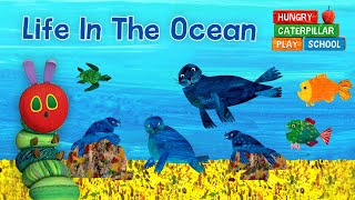 Hungry Caterpillar Short Stories - Life In The Ocean Storytoys Games