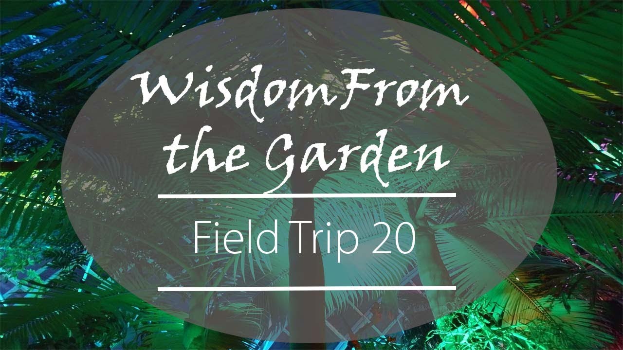 Myriad Botanical Gardens, Oklahoma City, Ok