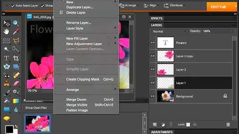 Photoshop Elements 9.0 Tutorial Stacking & Linking Layers Adobe Training Lesson 10.4