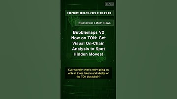 Bubblemaps V2 Now on TON: Get Visual On-Chain Analysis to Spot Hidden Moves!