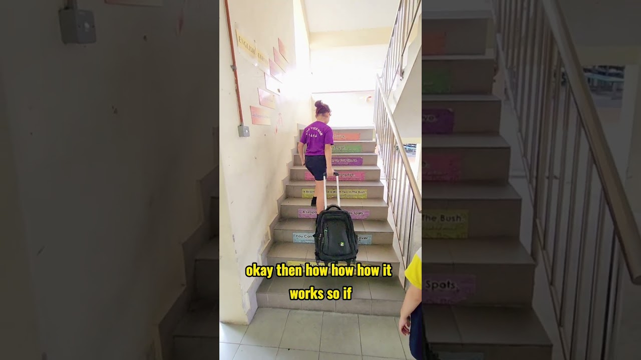STEM project : Stair climbing trolley bag
