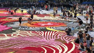 The 2024 Brussels Flower Carpet and Light Show Spectacle: A Night of Magic
