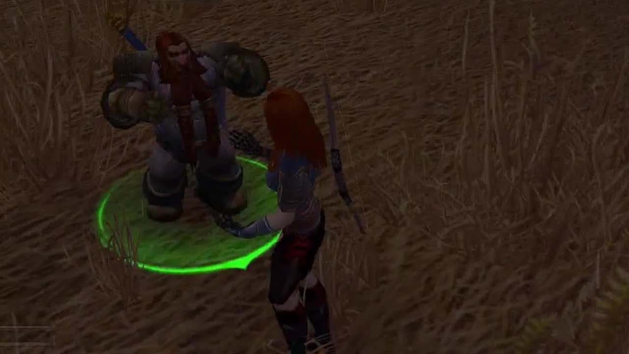 World Of Warcraft Quest Info: Twinbraid Needs to Know