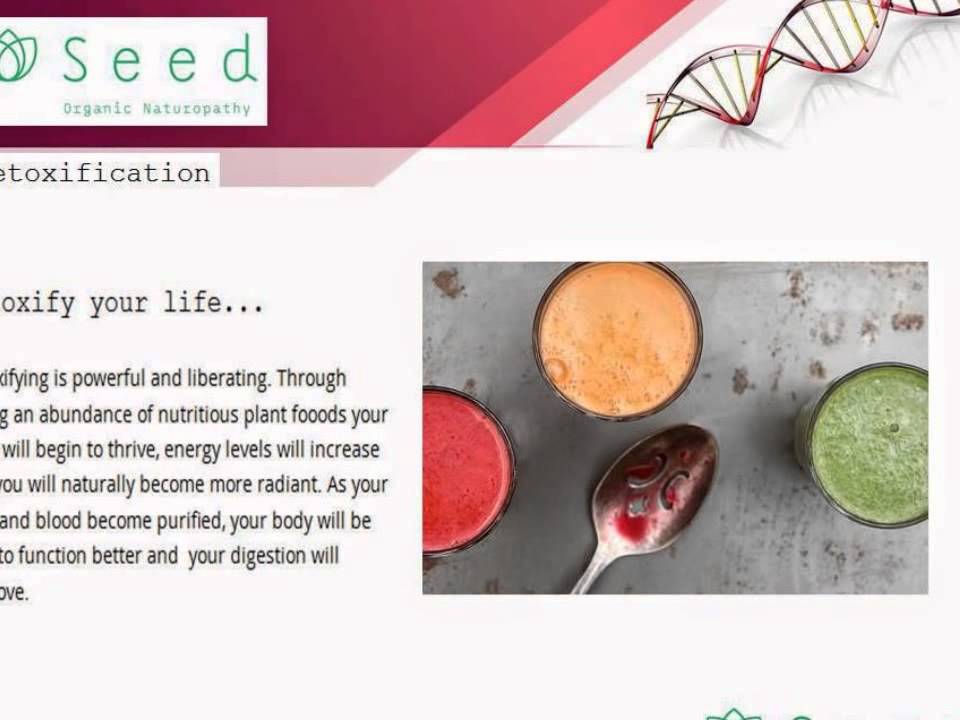 Naturopaths and Preconception Clinic in Adelaide