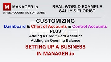📒Manager.io - Customizing the Chart of Accounts and Control Accounts