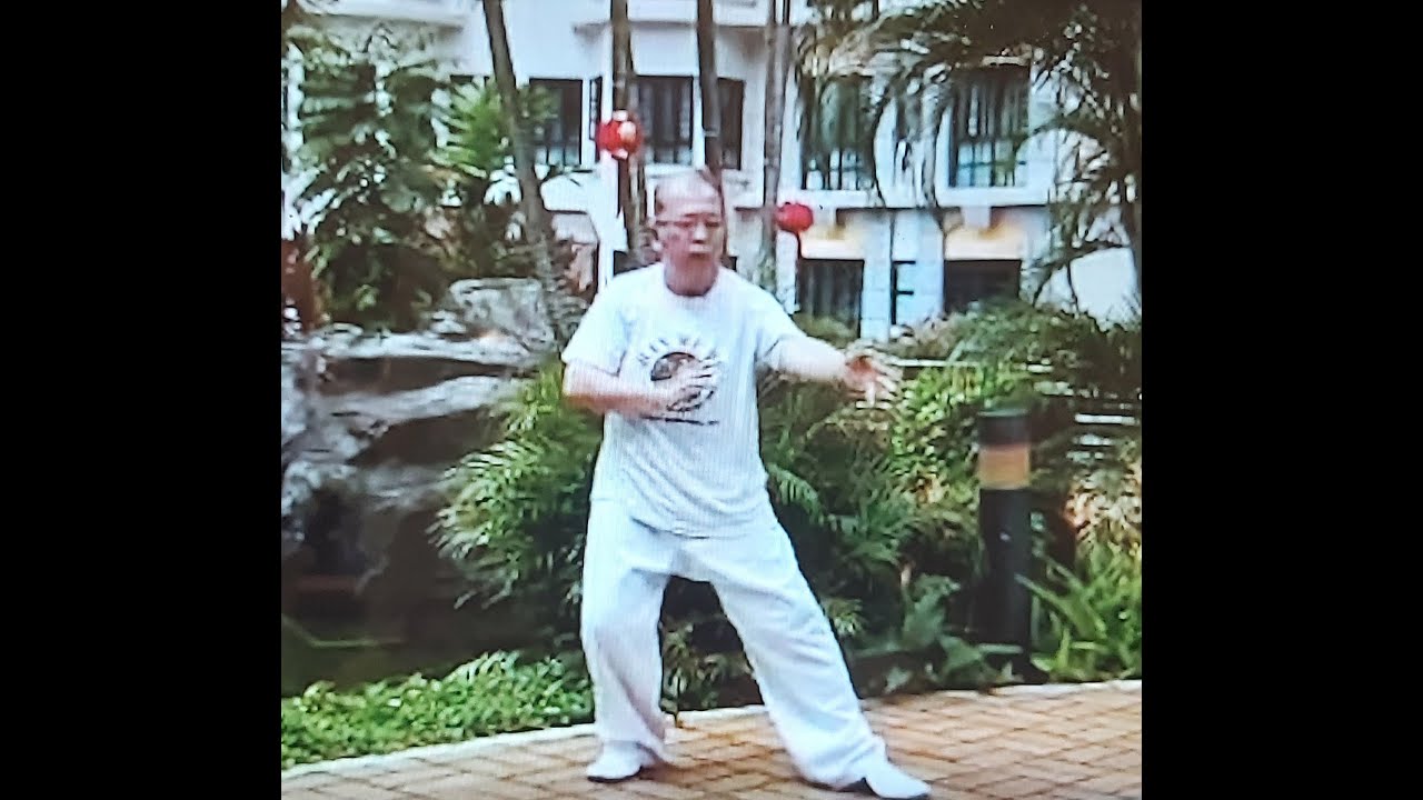 Han Tai Chi Excercises ( Han Tae Geuk Kibon Sul) by Chiefmaster Dennis Chua , Hanmudo Singapore