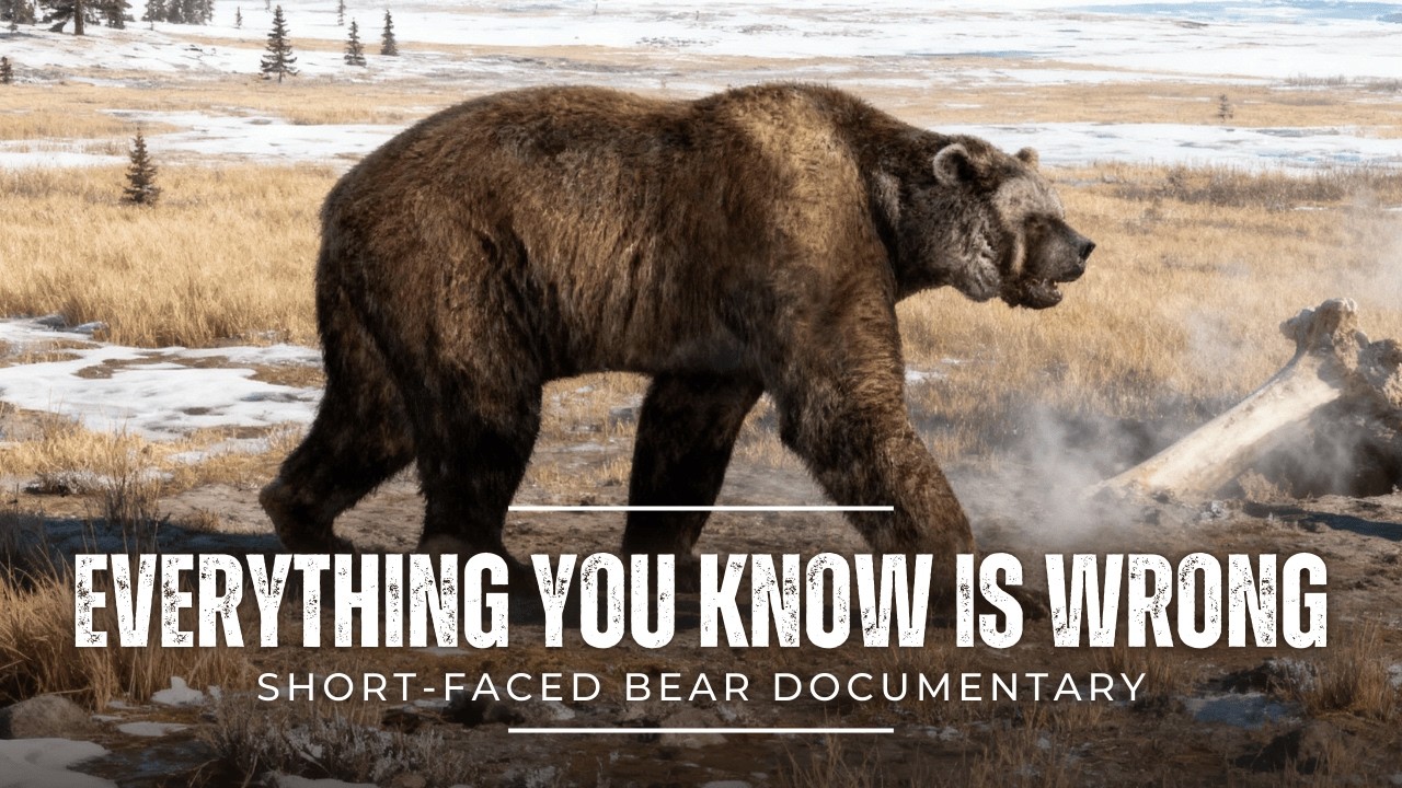 Самый непонятый гигантский медведь в истории | Документальный фильм Arctodus