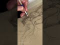 Cherub and Butterfly Time-Lapse Drawing Process of Angel